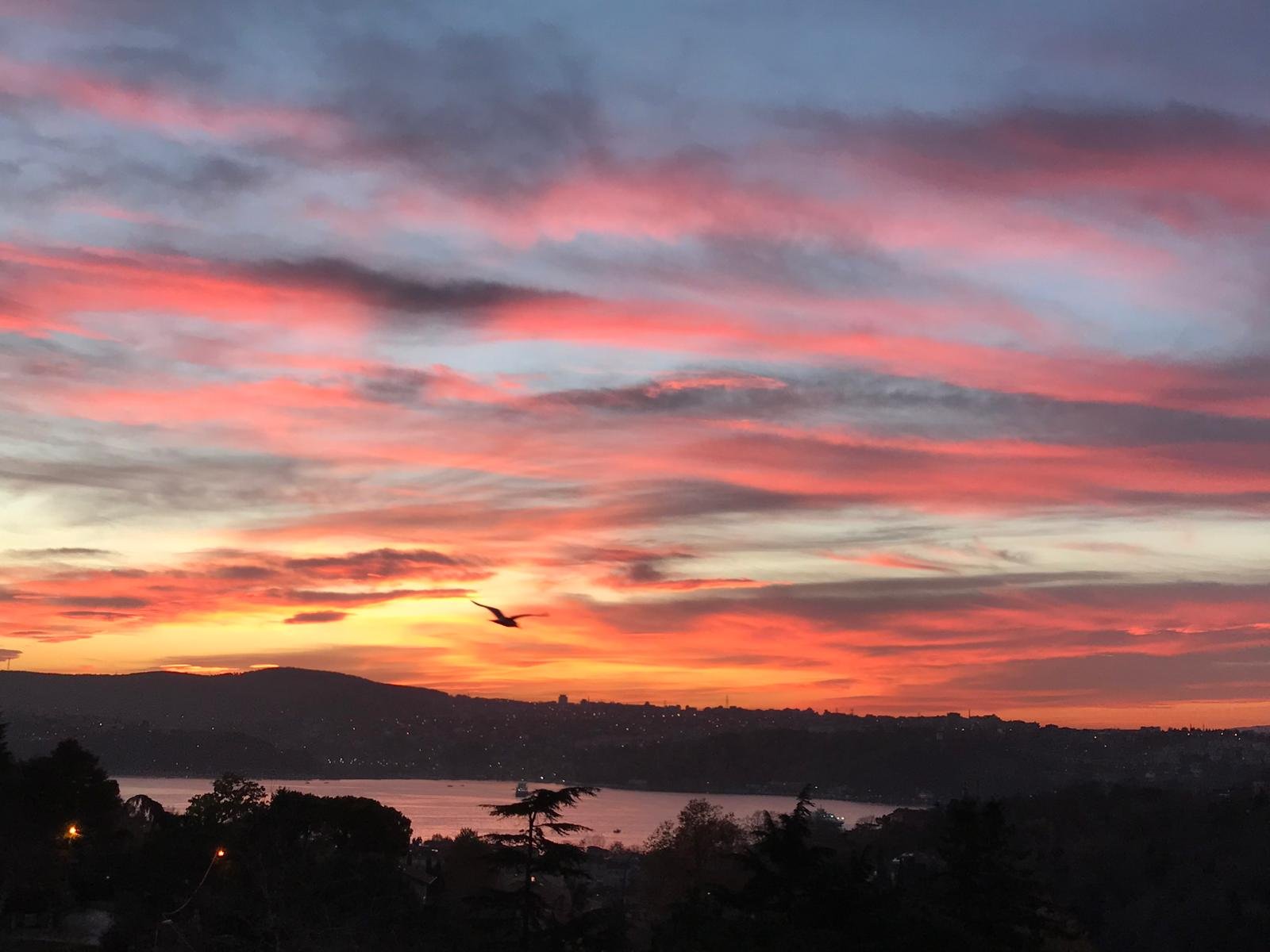 The declaration of [shahāda]