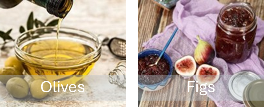 olives&figs 1 image