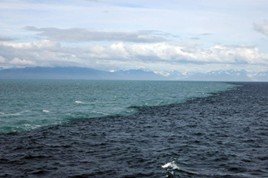 the two oceans that never meet